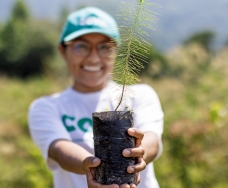 Reforesting To Protect Water