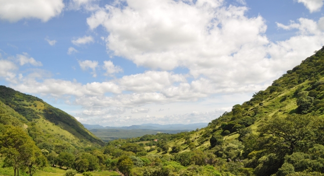 Meet Lauren Butler, Our Global Program Director for Central America
